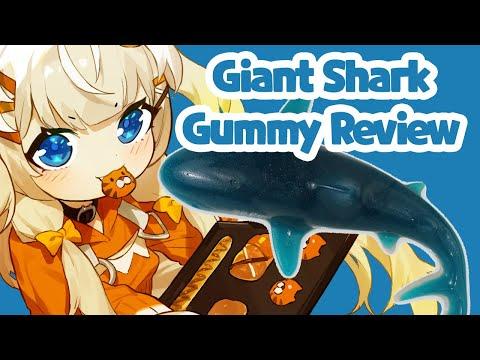 Giant Shark Gummy Review!✨