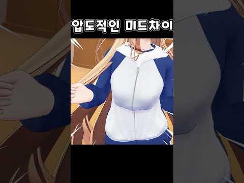 버튜버 미드 차이