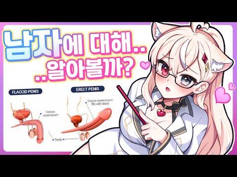 생방송에서 성교육 해주는 버튜버;; -2-