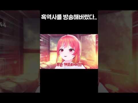 버튜버의 흑역사 | 모라라 저쳇