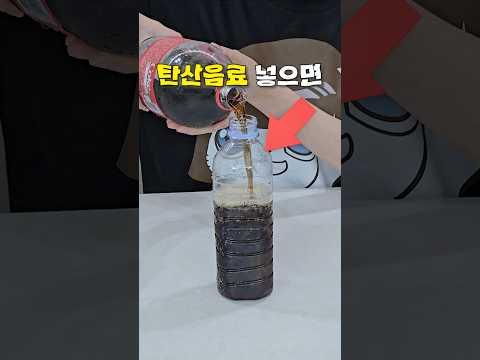 생수병에 콜라 넣으면 안되는 이유