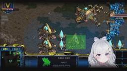 설아 [버컴][종달새]