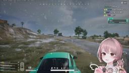 7시) 마이곰이 신년 타로