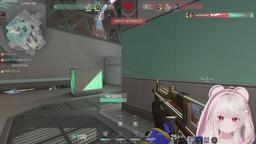 오랜만에 백청미 발로 ck 입니당