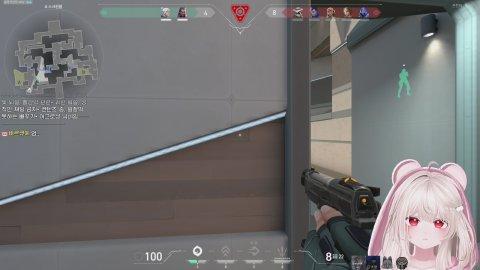 오랜만에 백청미 발로 ck 입니당