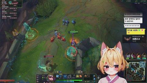 솔랭 판을 휘어잡을 아가 호랑이 등장이요;;