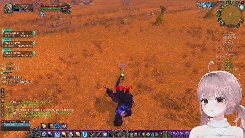 폐광 전 곰디와 함께하는 탑골공원 시간