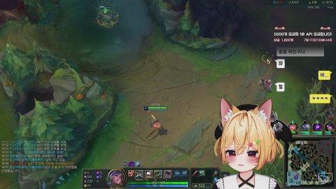 개 쳐 무서운 아가호랑이 등장이요;;