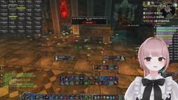 8시) 버튜버 40인 와우 오리지널의 꽃, 검둥 레이드