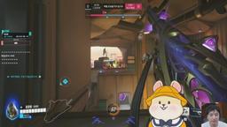 2시 성태두목님ck 도현아....괜찮아진짜? [조적단]