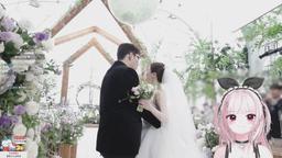 [어인섬] 코이랑 표밤이 응원